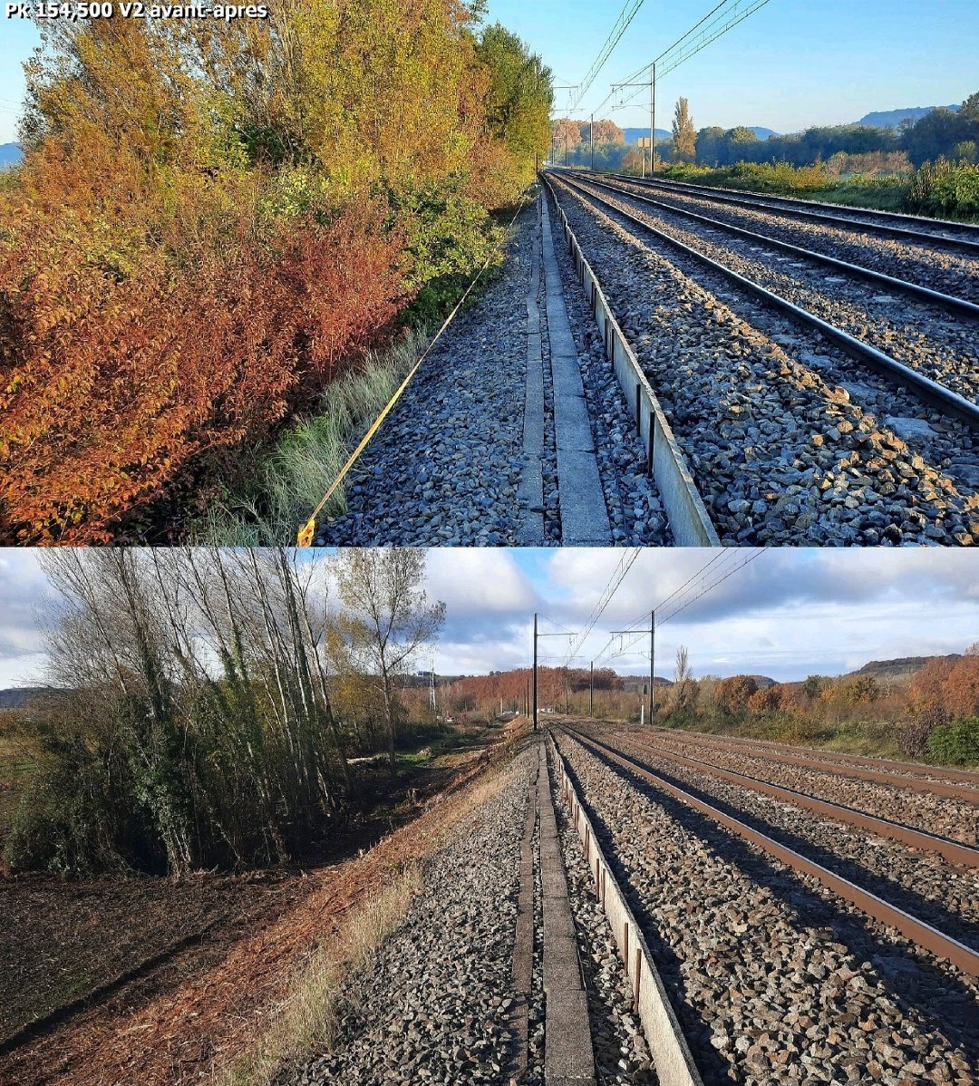 Ça y est, la quasi totalité des 🍃🍂🍁 sont tombées des arbres.

Le traitement de la végétation qu'<a href="/SNCFReseau/">SNCF Réseau</a> réalise toute l'année s'avère déterminant pour cette période délicate afin de préserver la sécurité et la régularité des trains

#CalendrierDeLavent de <a href="/LaTeamTrain/">La Team Train</a> 
#J7