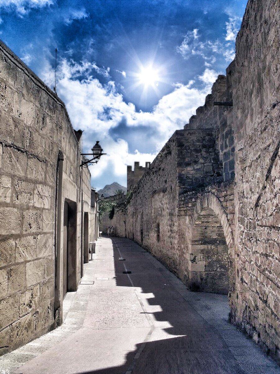 DragonflyPromo2's tweet photo. #mallorca #spain #palmademallorca #a #baleares #palma #mallorcaisland #majorca #summer #travel #espa #love #mallorcagram #islasbaleares #beach #balearicislands #ibiza #mallorcaparadise #photography #nature #sea #mallorcalovers #instagood #holiday #photooftheday #mediterranean https://t.co/2hG37xftwC