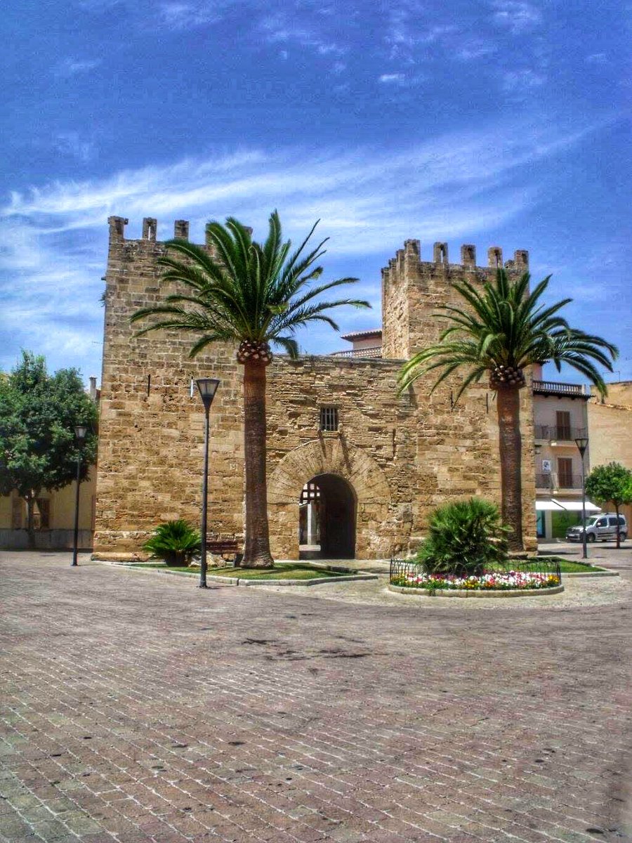 DragonflyPromo2's tweet photo. #mallorca #spain #palmademallorca #a #baleares #palma #mallorcaisland #majorca #summer #travel #espa #love #mallorcagram #islasbaleares #beach #balearicislands #ibiza #mallorcaparadise #photography #nature #sea #mallorcalovers #instagood #holiday #photooftheday #mediterranean https://t.co/2hG37xftwC