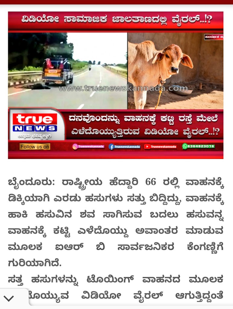 ProfSRK's tweet image. Shame on the IRB Construction Company Employees who dragged two dead Cows on the National Highway near Byndoor in Udupi Dist, Karnataka. Is this the way your Staff transport or carry the dead Cows? Ridiculous. Nonsense.
#IRB #NH66 #IRBInfrastructureDevelopers #Gou @IRBInfraTop