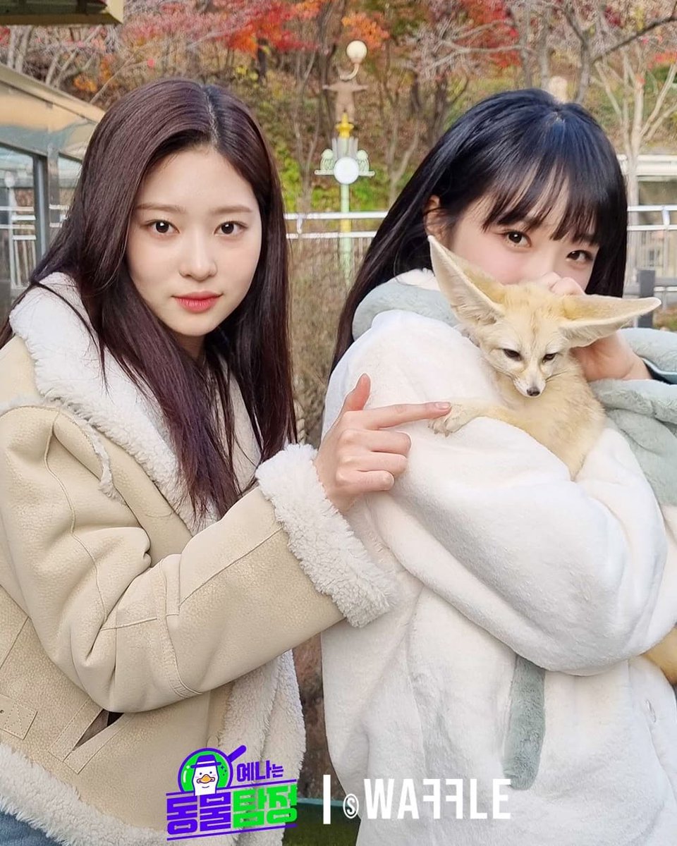 MINJU THAILAND tweet media