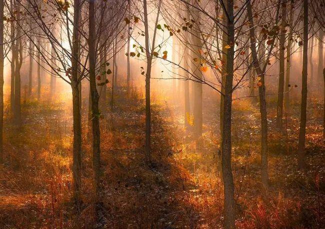 🏓 柠栀 tweet media