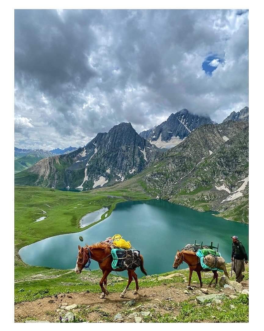 Paktourntravel's tweet photo. Horses ascending Gadsar Pass with Veshansar and Keshansar Lake's in the Backdrop in Ganderbal, Kashmir.
Photo : Shanmu Sundar
Use #exploringganderbal
To get featured. https://t.co/pkVWoVNAJc