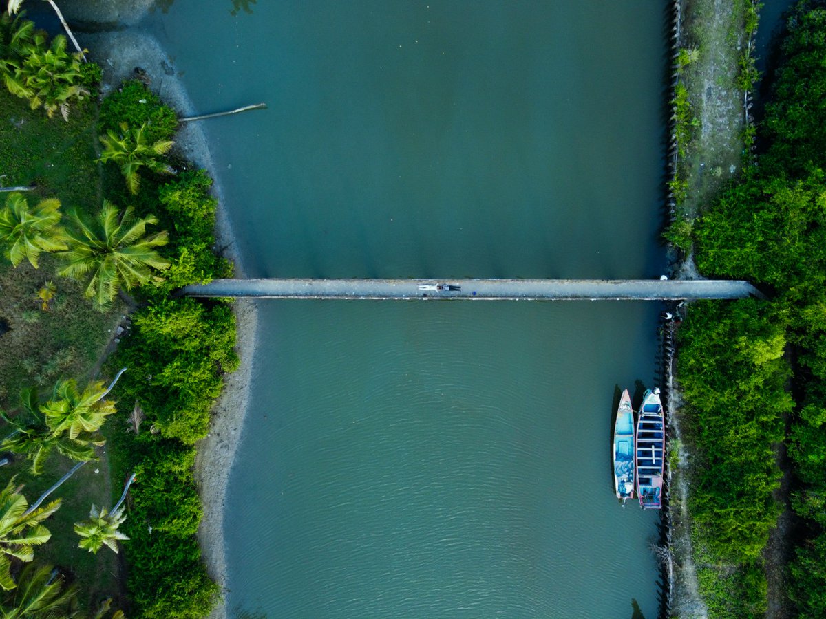 EaseIndiaTravel's tweet photo. Beautiful view of #kerala . You can enjoy your time on this Ayiramthengu fish farm road.
Picture credits: https://t.co/kCq8EIAhTF
#keralatourism #alappad #road #journeys #experiencetravel #southindia https://t.co/JW8W0dEBfQ