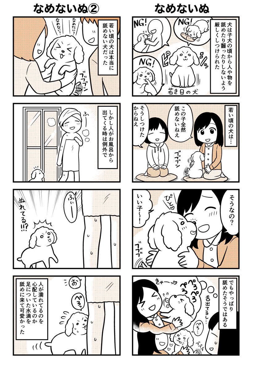犬はペロペロするのが好き🐶

犬の舌ってしっとりふんにゃりしててなんか癒される…🌸 