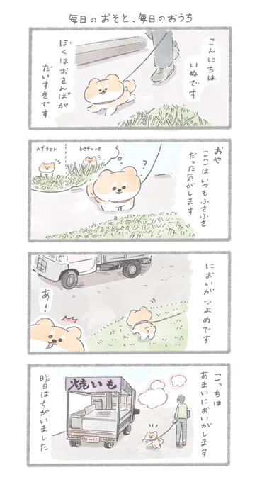 毎日のおそと、毎日のおうち
#こんにちはいぬです 