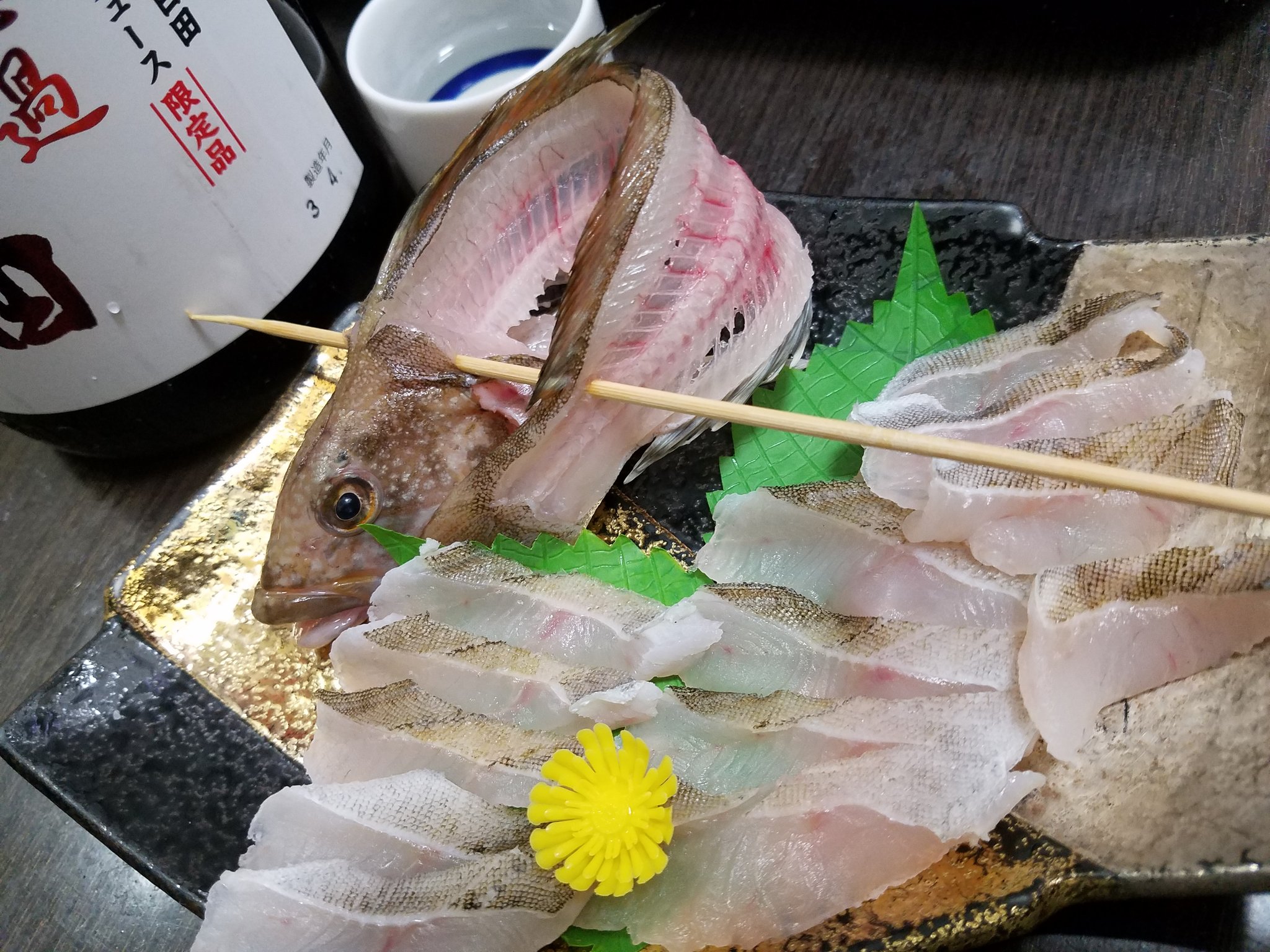 でぇ吟醸白田 釣ってきたアイナメの刺身 皮を湯引き アイナメの皮ってすんげーうまいんだよねー 肝と白子は味噌でといて刺身に和える 日本酒すすむすすむ 呑めるねぇー お酒 おつまみ 晩酌 家飲み 釣り ロック アイナメ 刺身 魚の肝