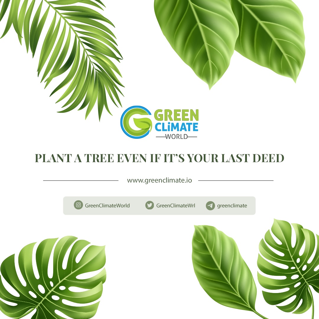 linktr.ee/greenclimate 🌱🌲🌍

#nature #green #climate #world #naturelovers #project #blockchain #cryptocurrency #life #WGC #WGCToken #greenclimateworld #plant #tree