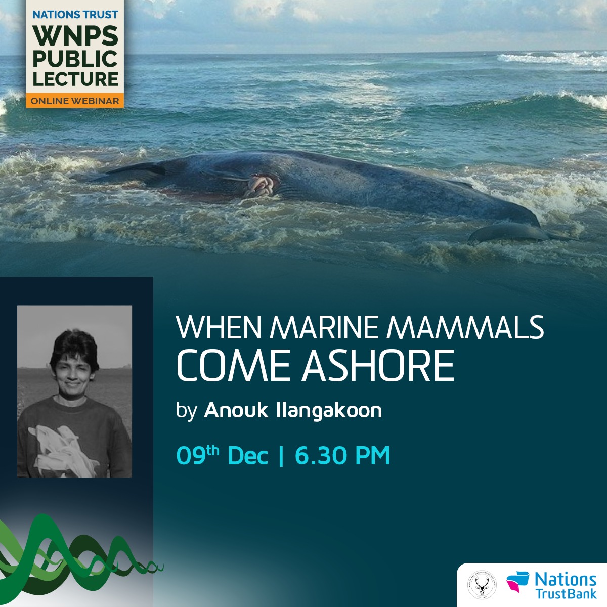 NationsTrustLK's tweet image. Join Anouk Ilangakoon, in this latest edition of the Nations Trust WNPS public Lecture Series - as she deep dives into what steps to be taken when marine mammals get beached or stranded out of the water.

9th of December 2021, 6:30 pm
forms.gle/84v3rgkFhYtJ4z…

#NationsCSR #WNPS