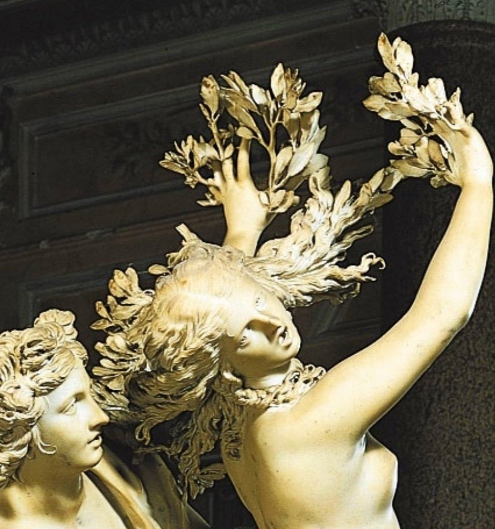 Yo creo que Bernini es un dios y está en el Olimpo. 
Esas manos transformándose en laurel no pueden ser obra de un mortal.