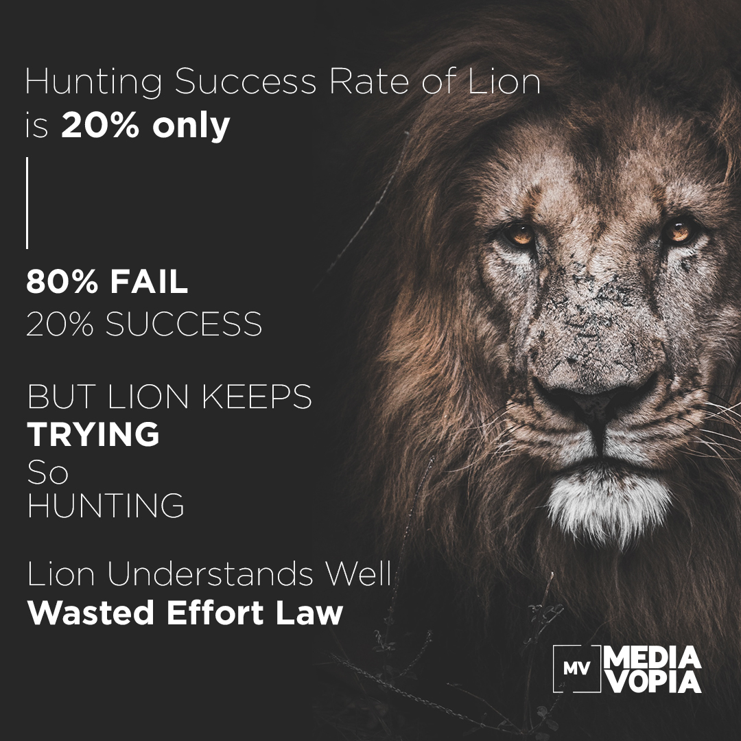 MediaVopia's tweet photo. What is the "Wasted Effort Law"?

#fail #win  #startups #mindset ##entrepreneurs #nevergiveup https://t.co/wGKeXhb9KL