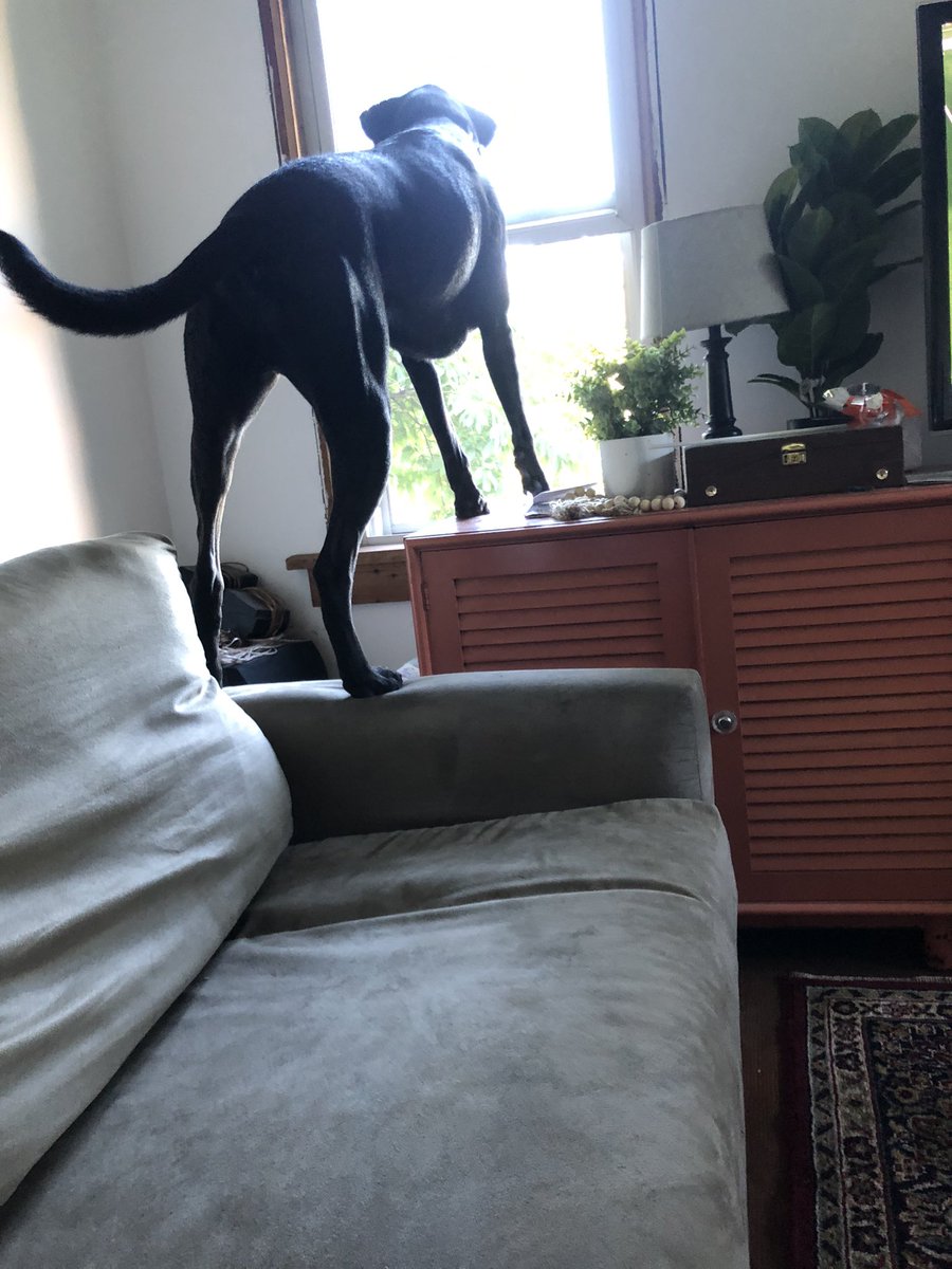 boneheadcm63's tweet photo. @chelseaperetti https://t.co/9ZrvsaM3XV