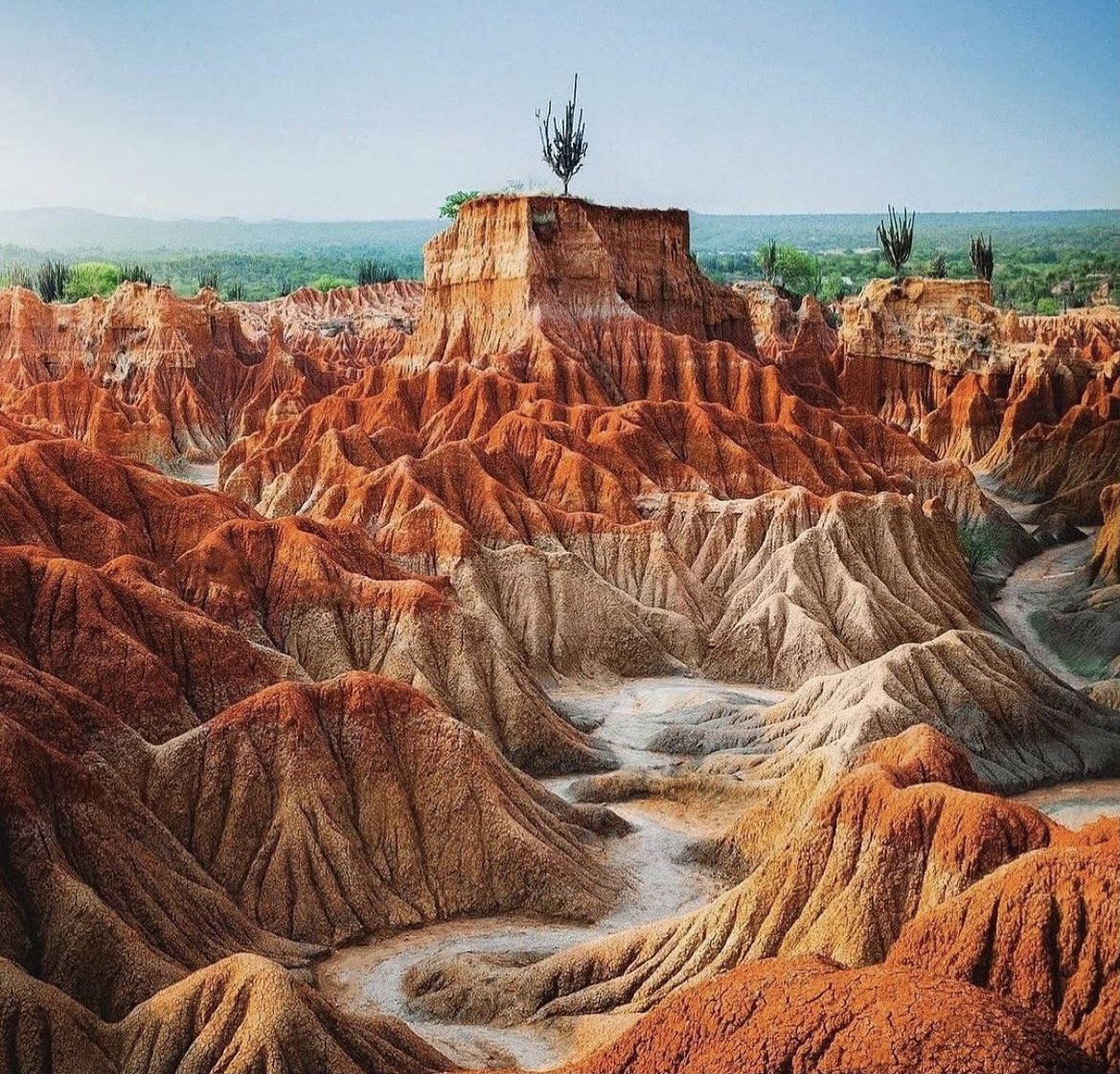 Flykube_UK's tweet photo. 📍Tatacoa Desert, Colombia🇨🇴 

Tatacoa is the second largest dry desert area in Colombia, after the desert of la Guajira🏜

According to scientific discoveries, this area was a garden filled with flowers that dried up and became a desert🌷🌻🥀

📸: IG/jguzmannn https://t.co/vlHKvTTw40