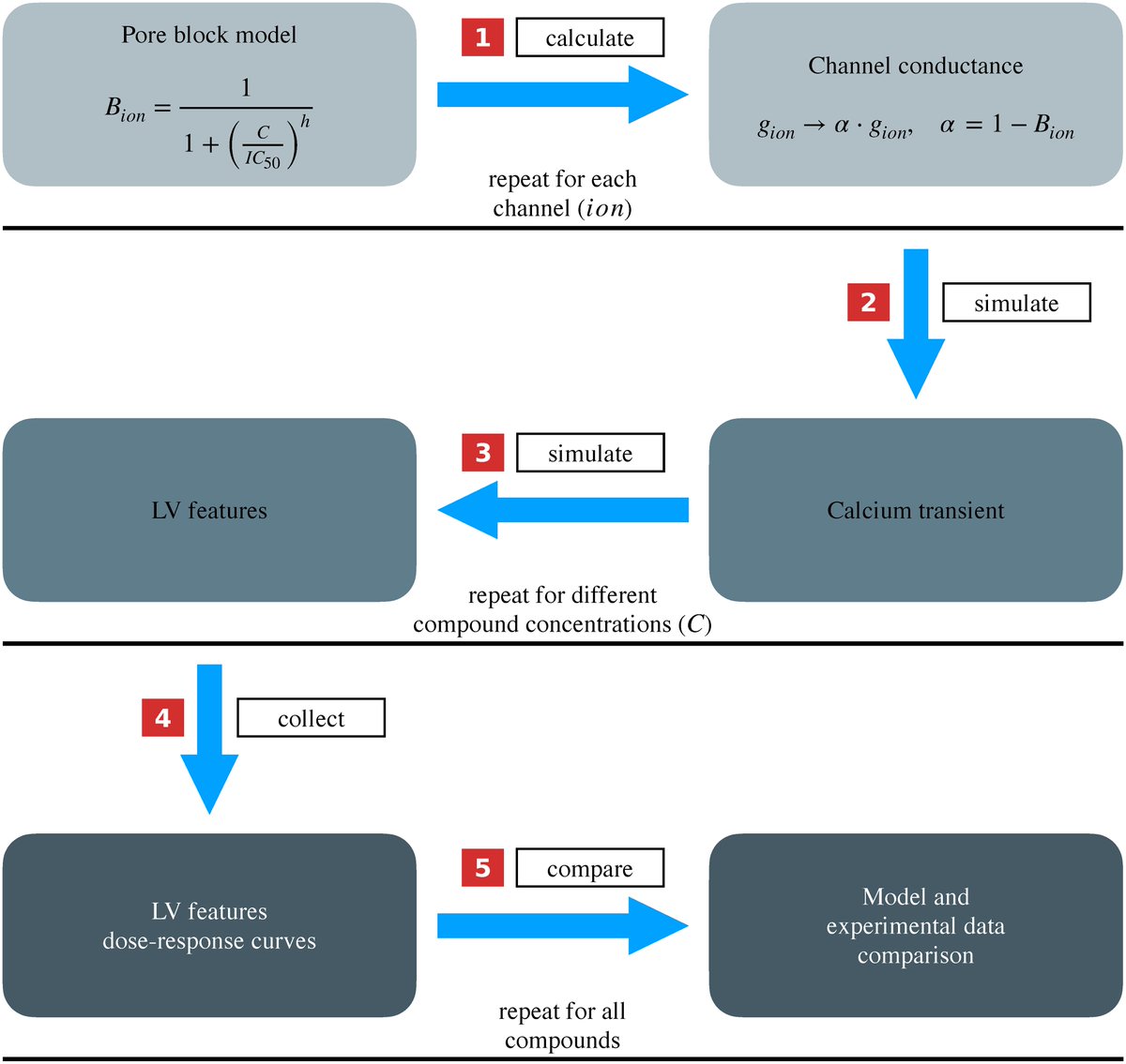 CEMRG_'s tweet photo. New paper by @stelong_ is available #OpenAccess now on PLoS Comp. Bio.! 📰

Check it out to learn how a combination of biophysically based models and their derived #emulators can be used to identify potential pharmacological targets 💊💻
https://t.co/TuBmuu2RdJ https://t.co/mOrIbBFvBB