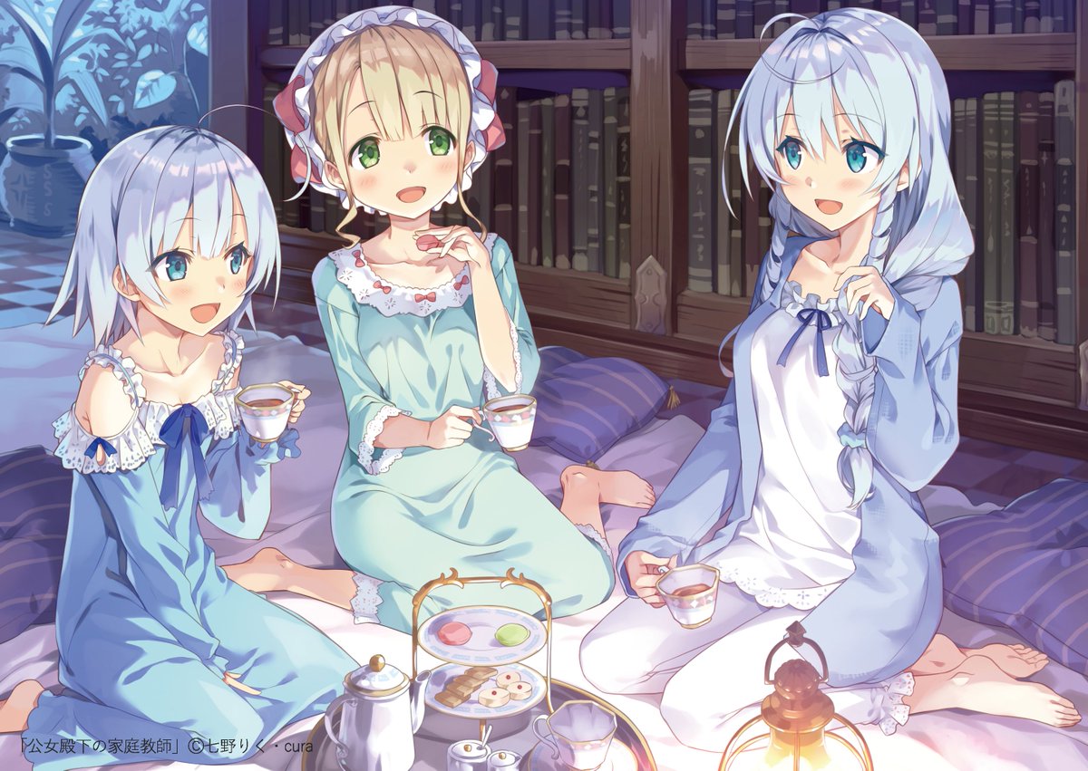 公女殿下の家庭教師