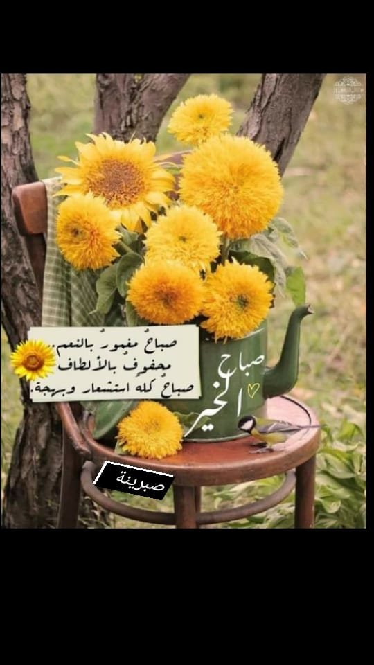 hanane_sl tweet picture