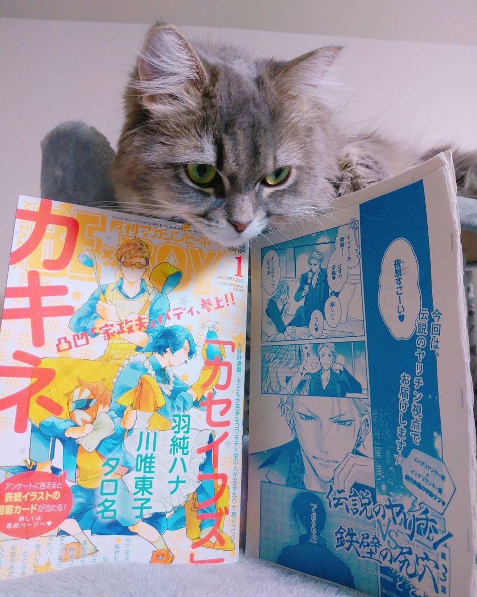 【お知らせ🐱】
本日発売のマガジンビーボーイ1月号に「伝説のヤリチンVS鉄壁の尻穴」3話掲載していただいてます!
ヤリチン目線です!宜しくお願いします❤️💙 https://t.co/OytwyA0Bby 