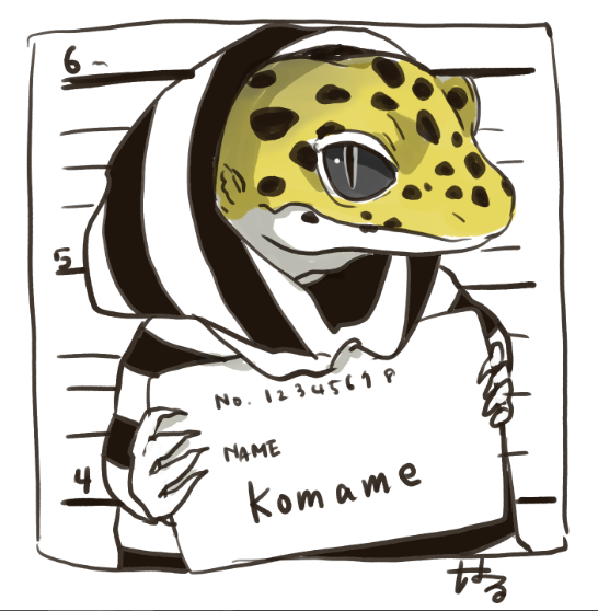 はる 𓆈 Reprima こういうのも可愛いなー ヒョウモントカゲモドキ レオパードゲッコー レオパ イラスト 落書き T Co Fsov9bvrwd Twitter