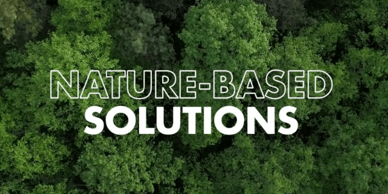 Natural base. Nature based solutions. Надпись solution. Nature based технологии и решения:. Nature based solutions photo.
