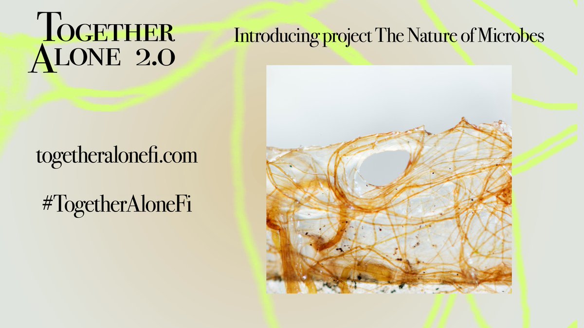 The Nature of Microbes is a collective short film project exploring living materia. The project is commissioned by Together Alone 2.0 – follow #TogetherAloneFI and togetheralonefi.com to read more! <a href="/instituutit/">Suomen kulttuuri- ja tiedeinstituutit ry</a>