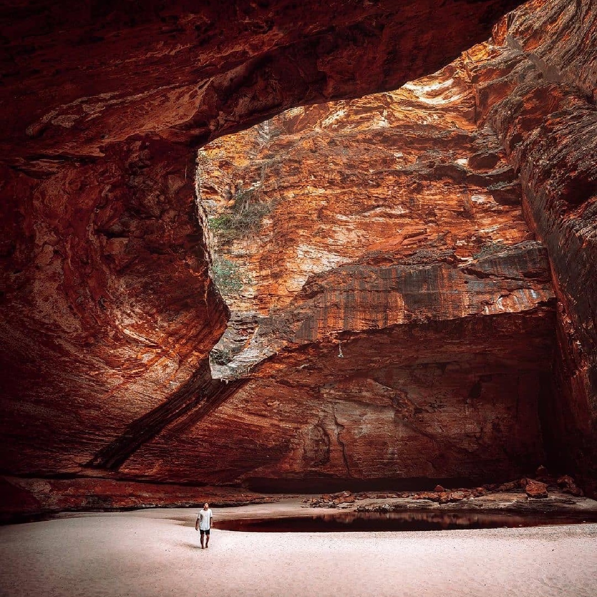 fabionodariph's tweet photo. #travel Australia: Just give us a minute to take in this view 😍

IG/gavin.fleay was lucky enough to have #CathedralGorge all to himself on a hike through @WestAustralia's #PurnululuNationalPark, home to the Gija and Jaru people.

#seeaustralia #thisi… https://t.co/WVh27j1M69