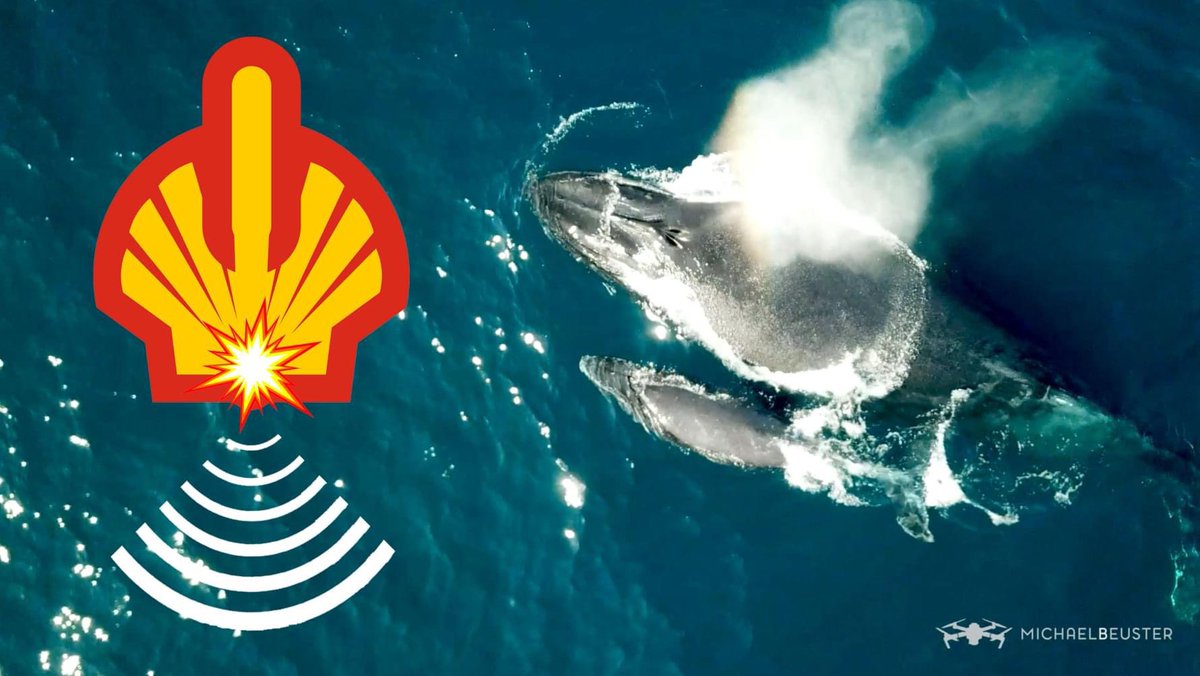 vicsouts's tweet photo. Shell has been given the nod to continue its search for gas and oil off the Wild Coast, under its "exploration Rights" obtained in 2014, by conducting a seismic blasting survey.
This will be dangerous to all sea life. #shell #oceansnotoil #stopShell https://t.co/zKa8cciahS