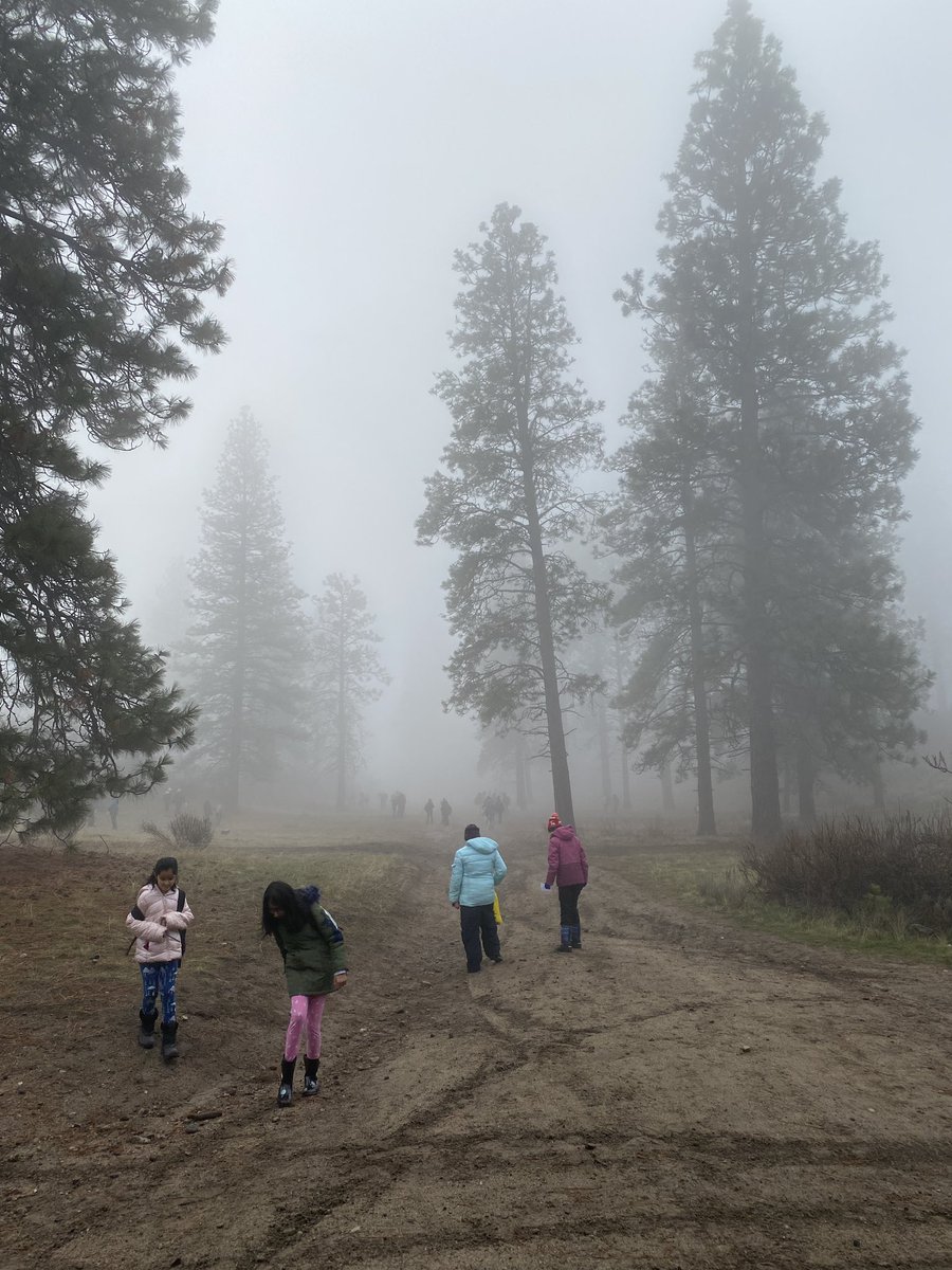 mrslivera's tweet photo. : thankful for all of the outdoor learning opportunities we’ve had this fall! https://t.co/oOeil9qRyL