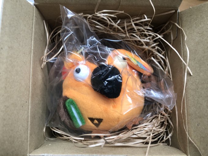 ブッコローさん!!!!
箱の梱包が鳥の巣みたいになってて似合う 