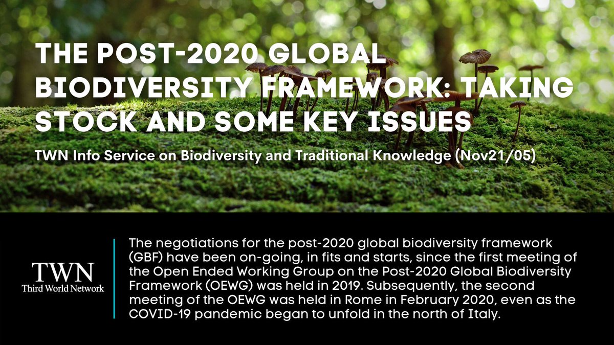 3rdworldnetwork's tweet photo. The #Post2020 Global #Biodiversity Framework: Taking stock and some key issues.
โก๏ธhttps://t.co/of2EQxgq2Q
#GBF #CBD #HumanRights #Gender #Youth #ClimateChange #NatureBasedSolutions #Equity #IPLCRights #30by30target #Mobilization #VoluntaryCommitments #OEWG #COP15 https://t.co/b9b7JVLi1L