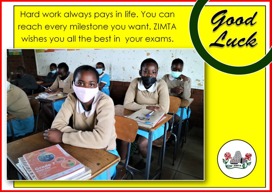zimta01's tweet photo. #Exams #gradeseven
@zimsecaeaa2016
@MoPSEZim
@UNICEFZIMBABWE
@unescoROSA
@ecozim
@OpenParlyZw
@kubatana https://t.co/Hcb6n5Y4Nm