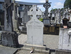 lorraineelizab6's tweet photo. Eoin O'Duffy (28 Jan 1890 #Carrickaduff #Monaghan-30 November 1944 #Dublin). Chief of Staff of IRA then army General in Irish Civil War on pro-Treaty side. Led Blueshirts & Fine Gael. Organised force to fight for Franco in Spanish Civil War. 🪦Glasnevin https://t.co/hh2pr1DBb2 https://t.co/J7lOfZxINL