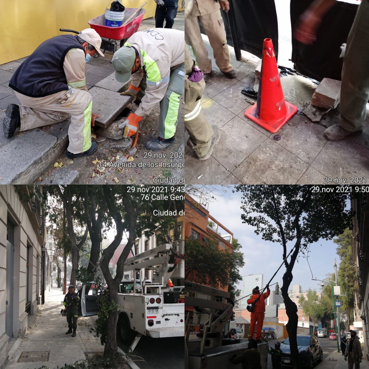 AlcCuauhtemocMx's tweet photo. Compañeros de la alcaldía se encuentran realizando diversas labores para mejorar el entorno urbano, se realizó:
✅Reparación de tapa de registro en #AvDeLosInsurgentes y #Hamburgo
✅Poda en #GeneralPrim, #JoséMaríaIglesias y #Dinamarca
✅Limpieza de jardineras, en #Dinamarca https://t.co/OWOjertFs9