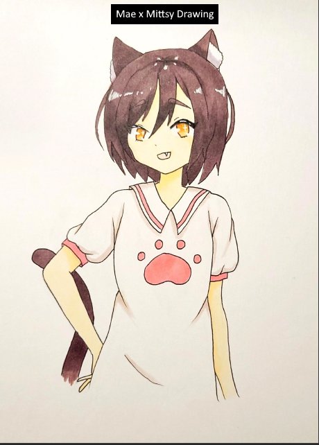 JandroFromPE's tweet photo. My submission for the #catgirlairdrop! https://t.co/LUoT9G5GNm