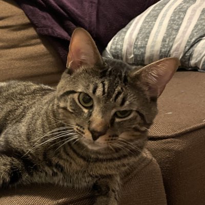 LSSDaily's tweet image. #NewProfilePic