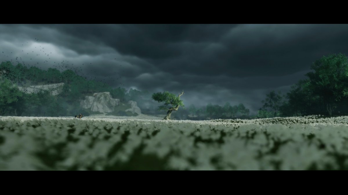 MJxMoose's tweet photo. #GhostOfTsushima  #GhostOfTsushima  #GhostOfTsushima  #GhostOfTsushima  #PS5Share, #GhostofTsushima https://t.co/qFbKrKhyFh