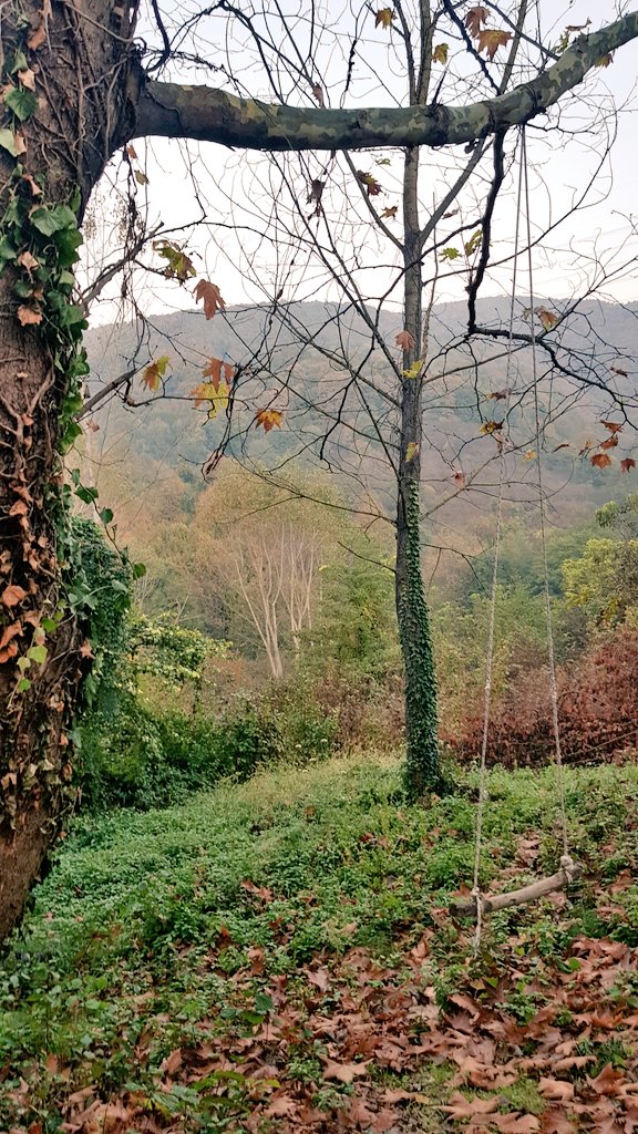 mf4budak's tweet photo. Güne odun keserek başlamak...🍂 https://t.co/qQFzoR6I8h