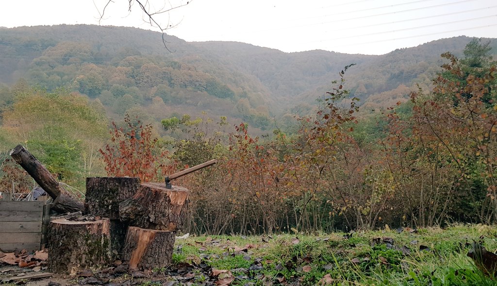 mf4budak's tweet photo. Güne odun keserek başlamak...🍂 https://t.co/qQFzoR6I8h