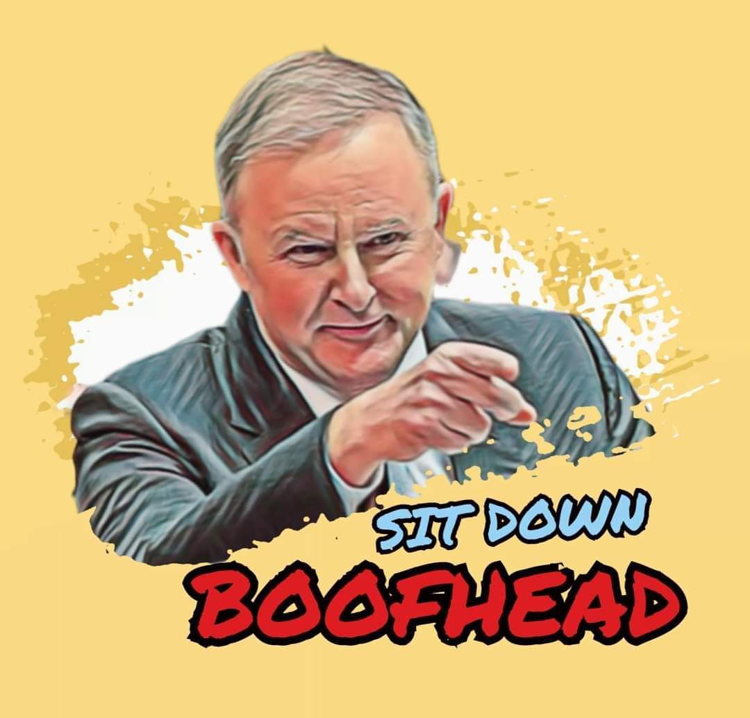 lunar_aphrodite's tweet photo. Thank you @AlboMP You made my year! #sitdownboofhead #SitDownBoofheadDutton 
@PeterDutton_MP @ScottMorrisonMP -you guys are going downnnnn! https://t.co/vrFB7CAA74