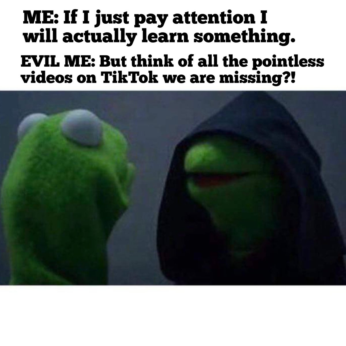 Nicholas Ferroni tweet media