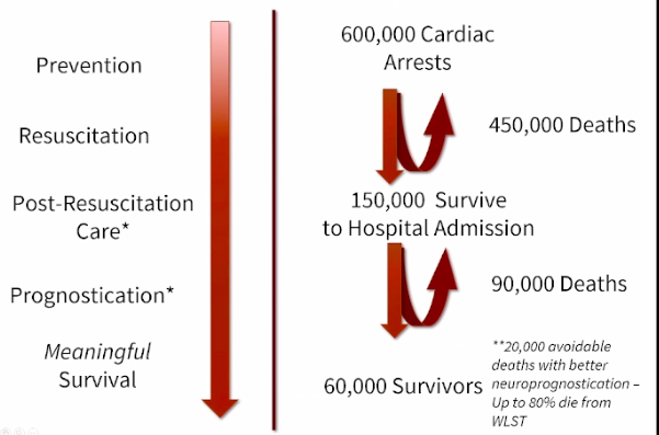 AlbertoCereda1's tweet image. The chain of survival
