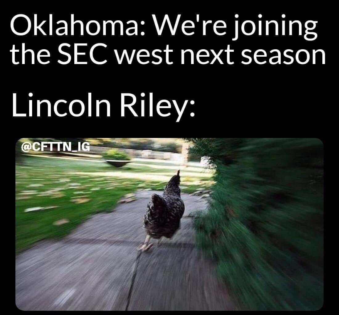 Traci963's tweet photo. @jacks0406 @finebaum @LincolnRiley https://t.co/vcOhUNFYdl