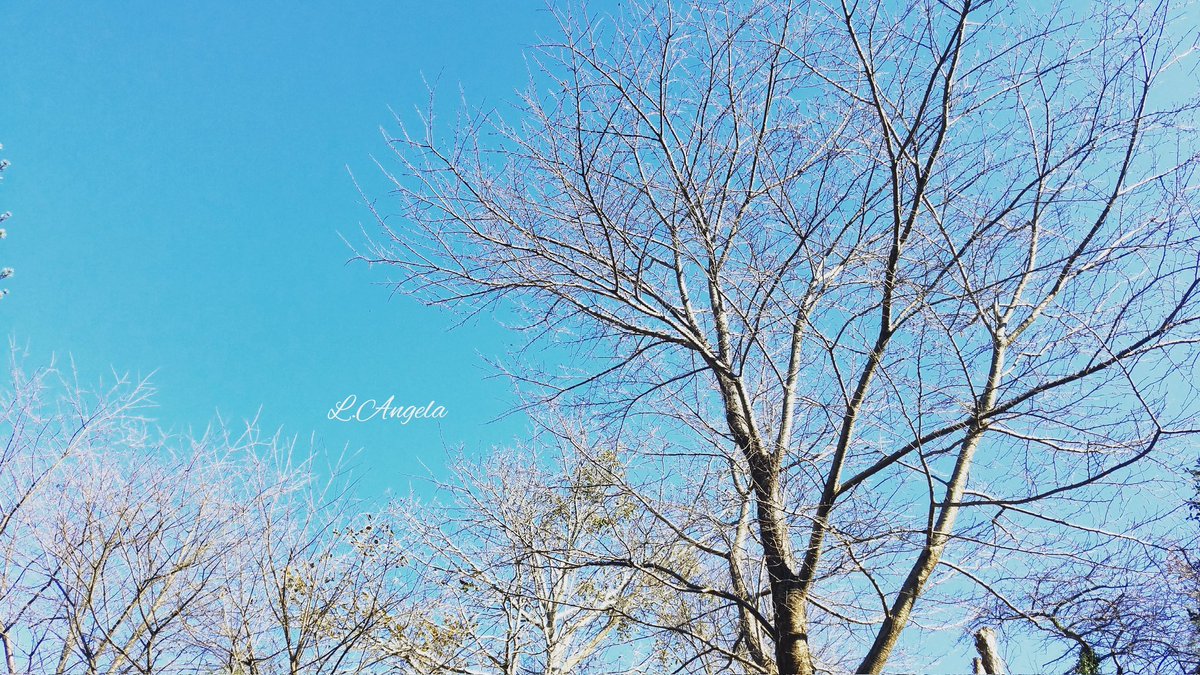 Morning walk😉✨
朝の散歩🚶‍♀️

Have a wonderful day 
everyone😍✌🍀❤

皆さん素敵な
1日でありますように😍✌🍀❤

#散歩 #イマソラ #自然 
#walkingonsunshine 
#nature #bluesky