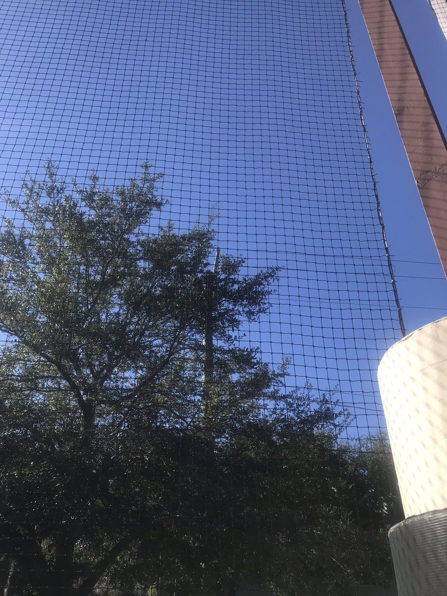 Mitchell Elementary tweet media