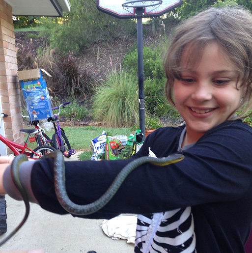GBMadellDuce's tweet photo. @AssExtranious @steveolivas #sraya mate. We learn to handle them fellas from infanthood. This is my daughter when she was ten with a little fella caught in the garage. https://t.co/dPU7UA6Qb0