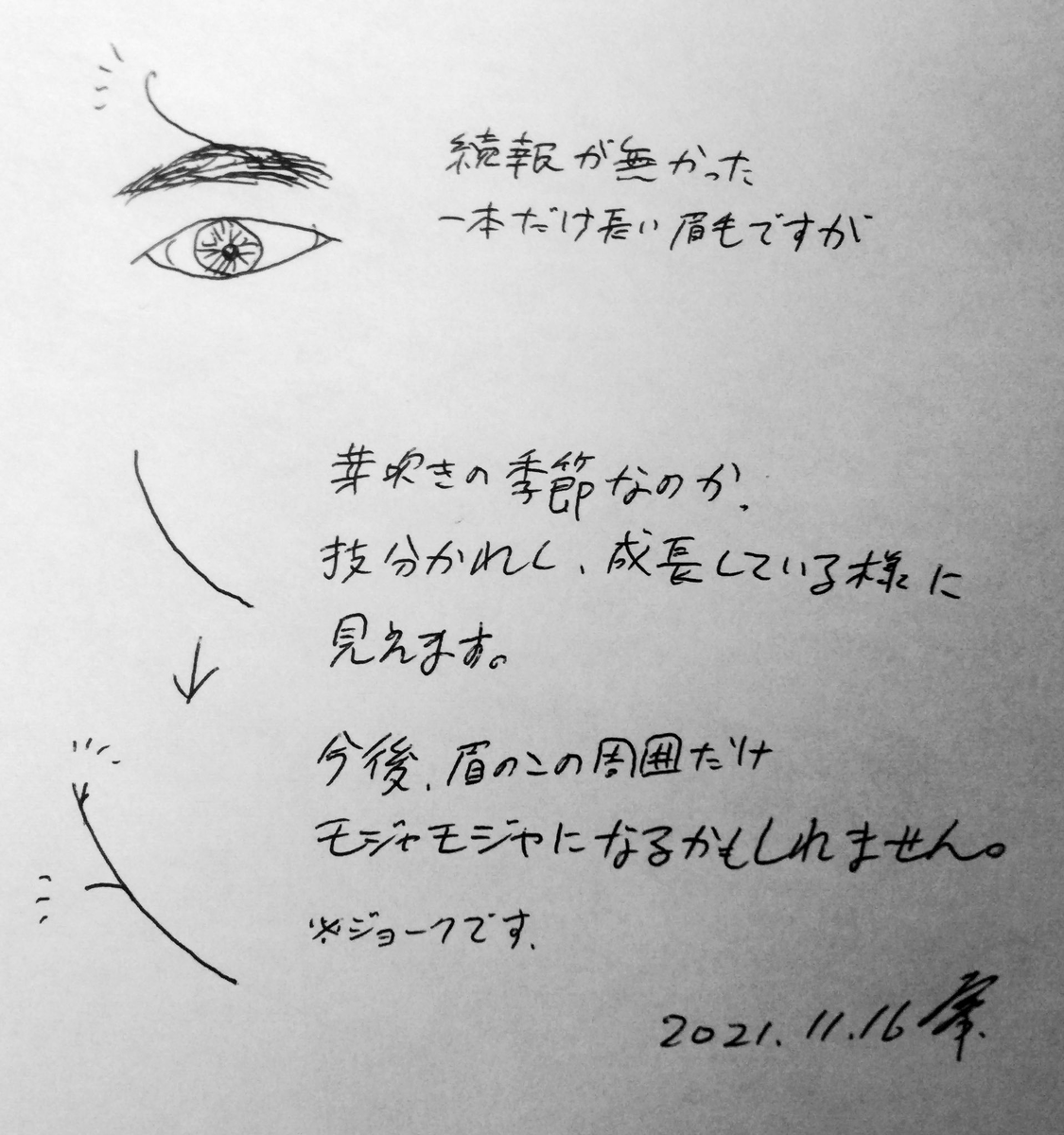 ミテルダケは私が作業してる様子を見守ってくれています。 