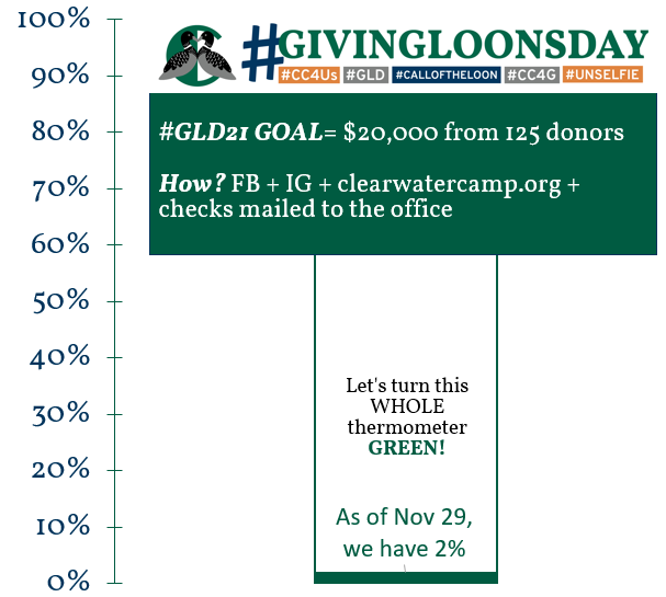 Clearwater_Camp's tweet photo. #GivingLoonsDay2021 Goal = $20,000 from 125 donors. GIVE to Make Camp Magic for our campers: https://t.co/hMi2UfsbHF #CC4G #GivingLoonsDay2021
#GLD2021
#WhereIBelong #SummerCamp #Minocqua #Wisconsin https://t.co/fwId00SFar