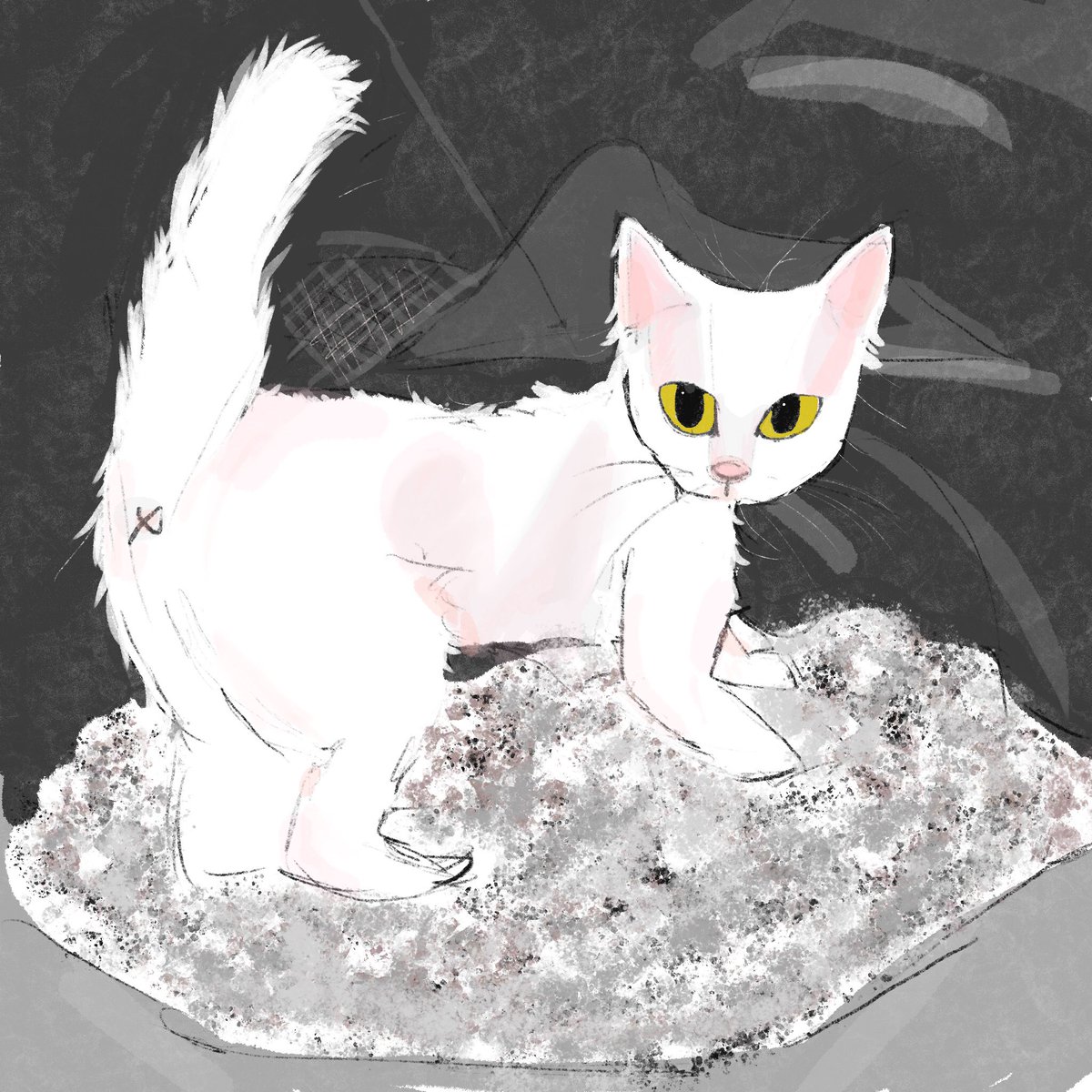 Doodled <a href="/faiththepermcat/">perm cat</a> on Instagram
