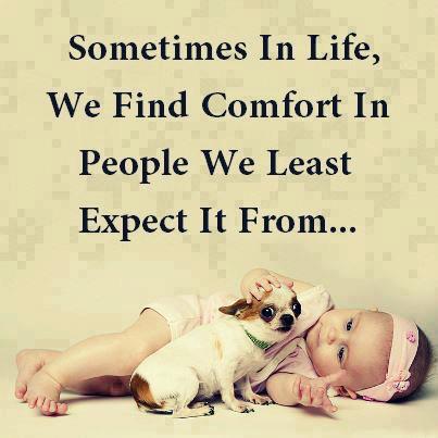 0xSods's tweet photo. This approach enlarged my personal network marketing business final results https://t.co/SxOBSpFzVj https://t.co/fOJidCl3Of