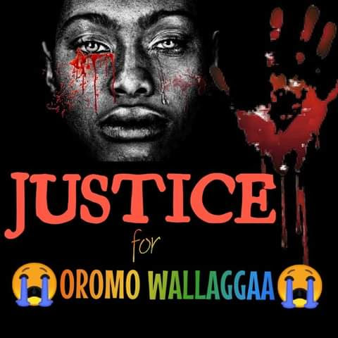 taakaalaa's tweet photo. #Drone_attack #Massacre 
Abiy's army killed more than 1000 innocent people in Wollega by drones and air attacks. Kiramu, Gidaa-Ayaanaa, Limmuu and Eebbantuu were the new targets. @addisstandard @AJEnglish @awolallo @ayyaantuu @KelloMedia @UN @rene_renelefort @OdaaTarbiiWBO https://t.co/TXkYsKztVK