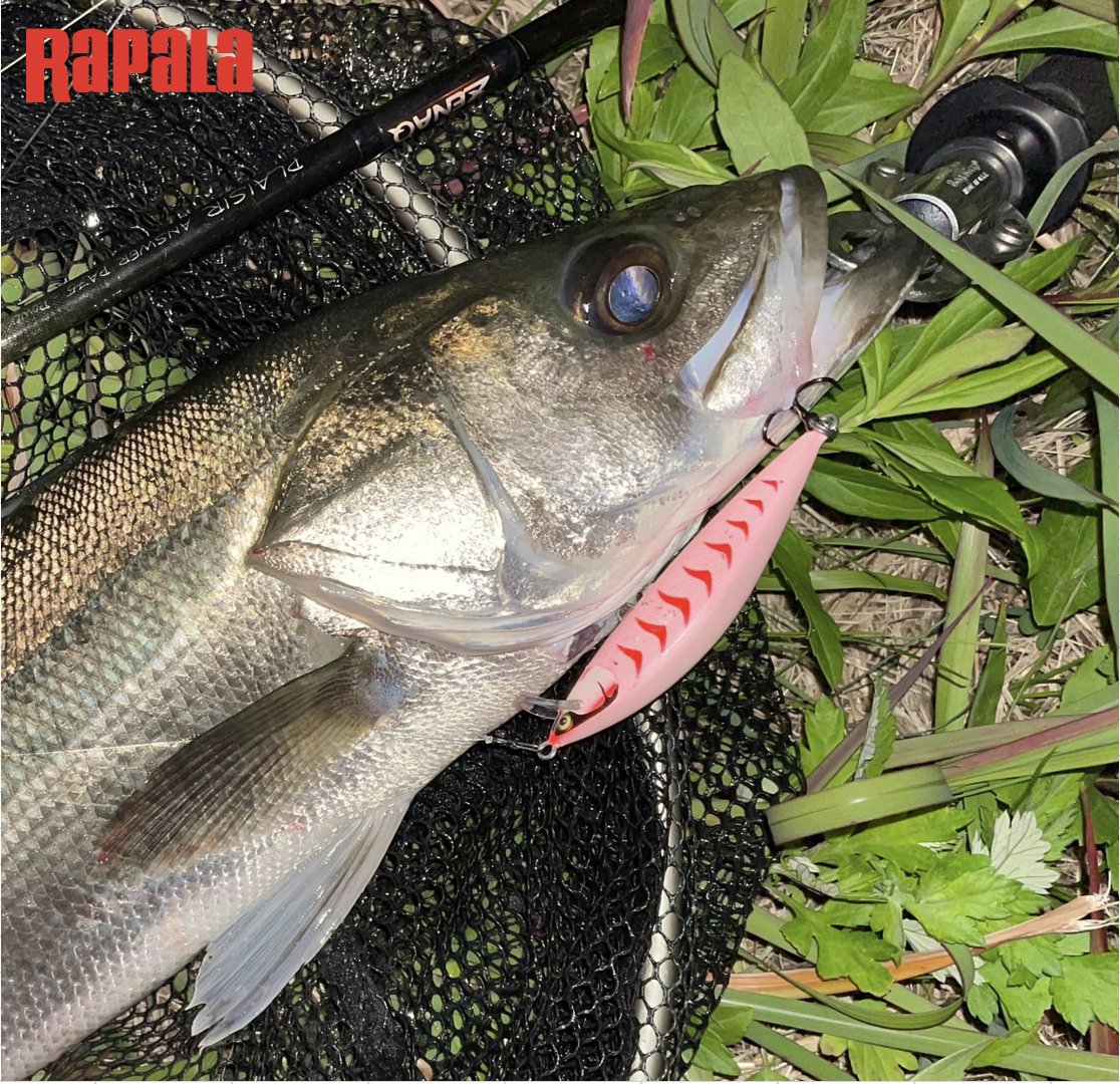 ラパラジャパン Count Down Elite95 貫通ワイヤーシステムを更なる次元へ スタンピングステンレスプレート搭載で 強度upと低重心化に成功 Angler Saki Kyotani Lure Countdown Elite95 カウントダウンエリート カウントダウンエリート95 Cde95